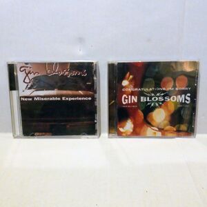 Gin Blossoms CD Lot Of 2-New Miserable Experience-Congratulations Im Sorry-90s
